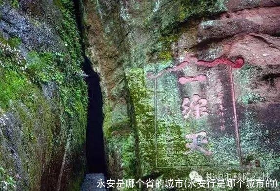 永安是哪个省的城市(永安行是哪个城市的)