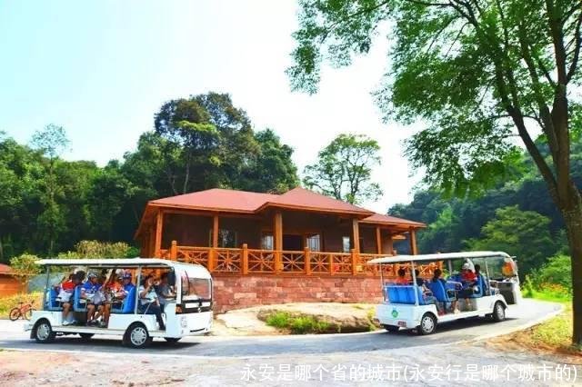 永安是哪个省的城市(永安行是哪个城市的)