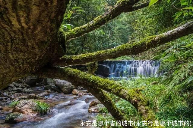 永安是哪个省的城市(永安行是哪个城市的)
