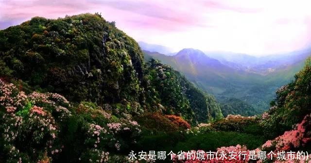 永安是哪个省的城市(永安行是哪个城市的)