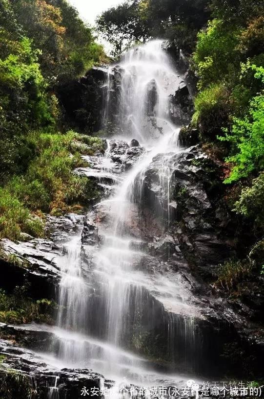 永安是哪个省的城市(永安行是哪个城市的)
