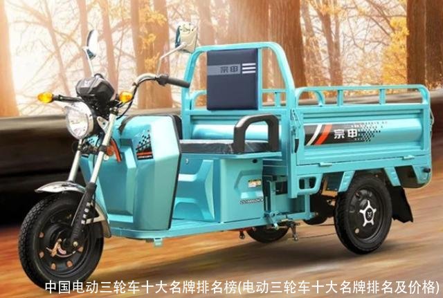 中国电动三轮车十大名牌排名榜(电动三轮车十大名牌排名及价格)