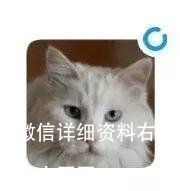 微信详细资料右上角小圆圈