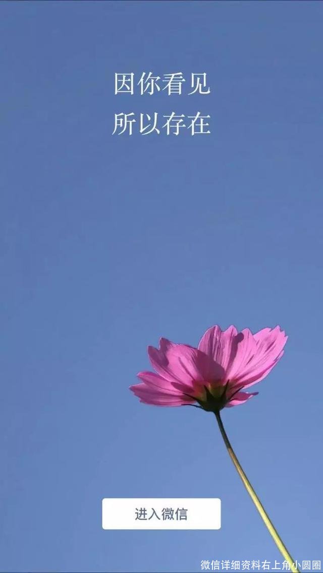 微信详细资料右上角小圆圈