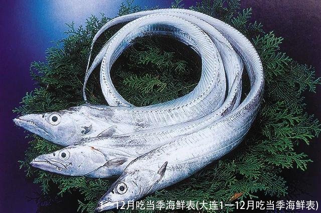 1一12月吃当季海鲜表(大连1一12月吃当季海鲜表)
