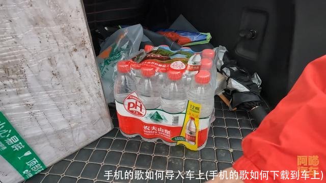 手机的歌如何导入车上(手机的歌如何下载到车上)