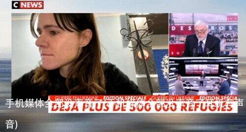 手机媒体全部没声音了(手机媒体全部没声音了耳机有声音)