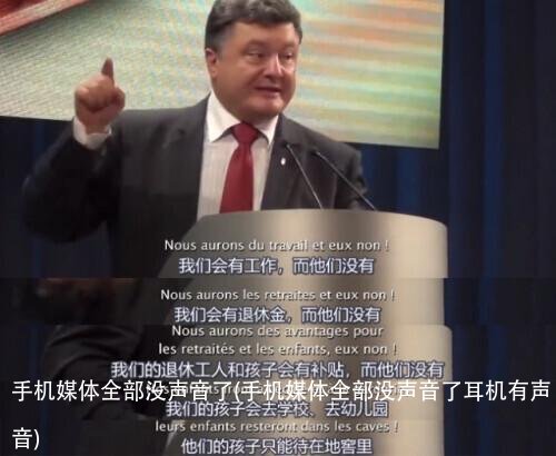 手机媒体全部没声音了(手机媒体全部没声音了耳机有声音)