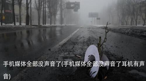 手机媒体全部没声音了(手机媒体全部没声音了耳机有声音)