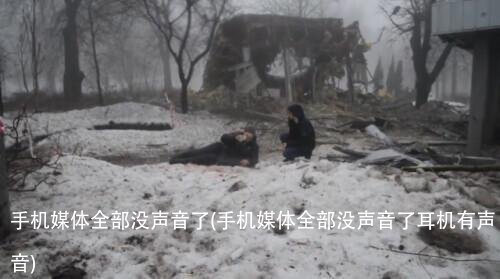 手机媒体全部没声音了(手机媒体全部没声音了耳机有声音)
