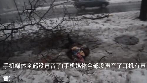 手机媒体全部没声音了(手机媒体全部没声音了耳机有声音)