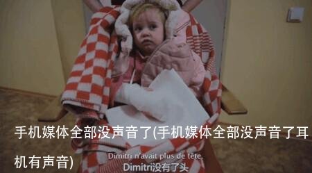 手机媒体全部没声音了(手机媒体全部没声音了耳机有声音)