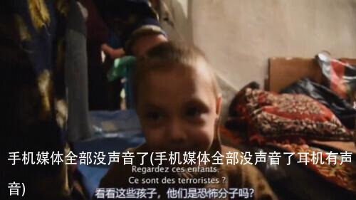 手机媒体全部没声音了(手机媒体全部没声音了耳机有声音)