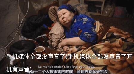 手机媒体全部没声音了(手机媒体全部没声音了耳机有声音)