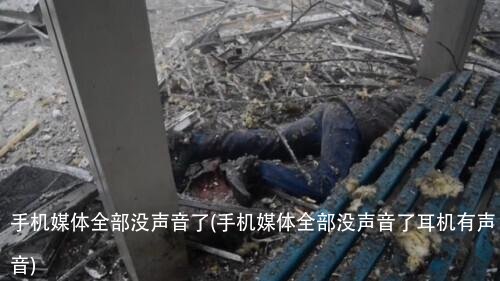 手机媒体全部没声音了(手机媒体全部没声音了耳机有声音)
