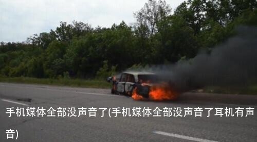 手机媒体全部没声音了(手机媒体全部没声音了耳机有声音)