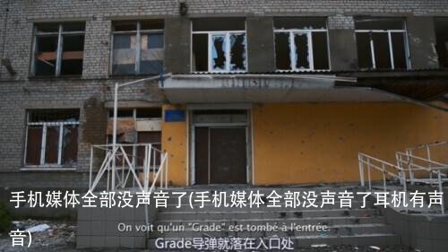 手机媒体全部没声音了(手机媒体全部没声音了耳机有声音)
