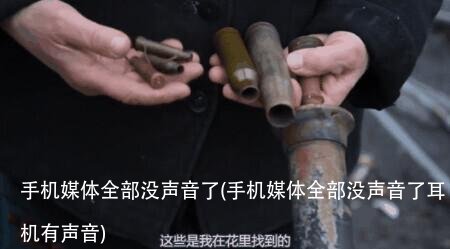 手机媒体全部没声音了(手机媒体全部没声音了耳机有声音)