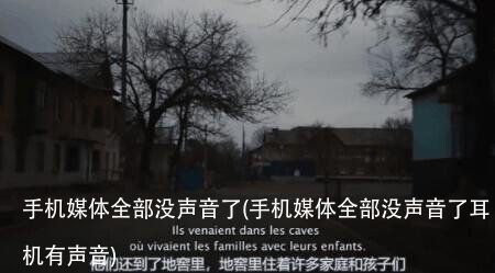 手机媒体全部没声音了(手机媒体全部没声音了耳机有声音)