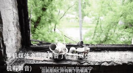 手机媒体全部没声音了(手机媒体全部没声音了耳机有声音)