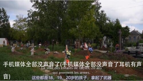 手机媒体全部没声音了(手机媒体全部没声音了耳机有声音)