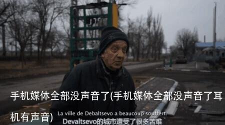 手机媒体全部没声音了(手机媒体全部没声音了耳机有声音)