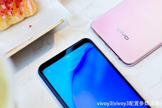 vivoy3(vivoy3配置参数详情)