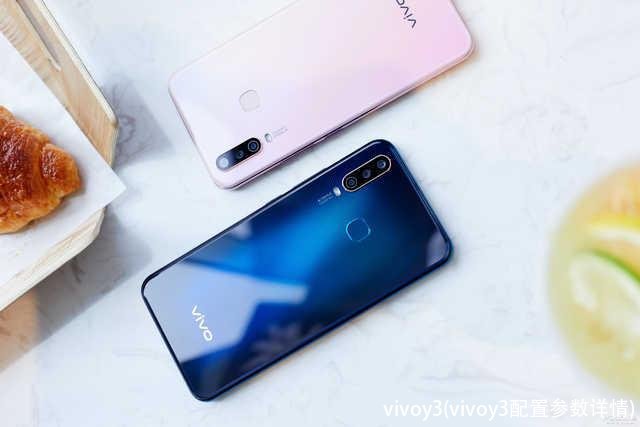 vivoy3(vivoy3配置参数详情)