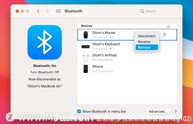 罗技鼠标驱动下载教程(罗技鼠标驱动设置教程g102)