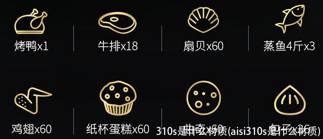 310s是什么材质(aisi310s是什么材质)