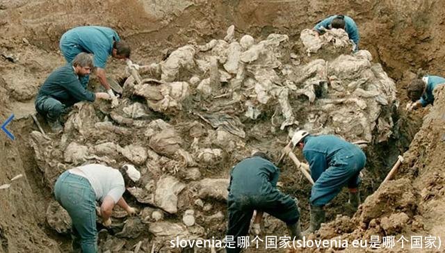 slovenia是哪个国家(slovenia eu是哪个国家)