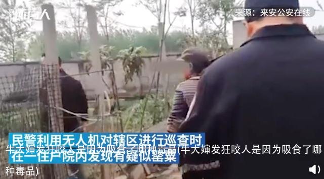 牛大婶发狂咬人是因为吸食了哪种毒品(牛大婶发狂咬人是因为吸食了哪种毒品)