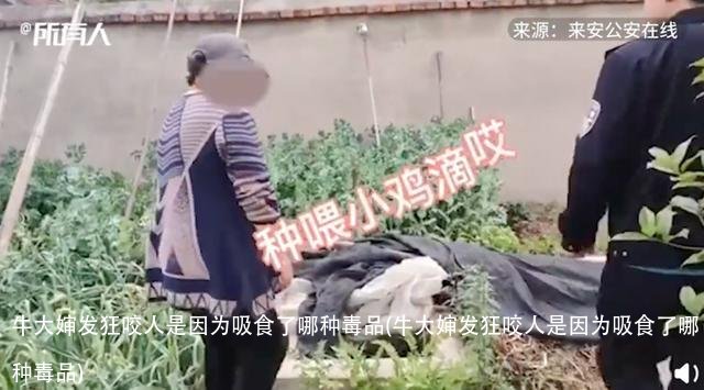 牛大婶发狂咬人是因为吸食了哪种毒品(牛大婶发狂咬人是因为吸食了哪种毒品)