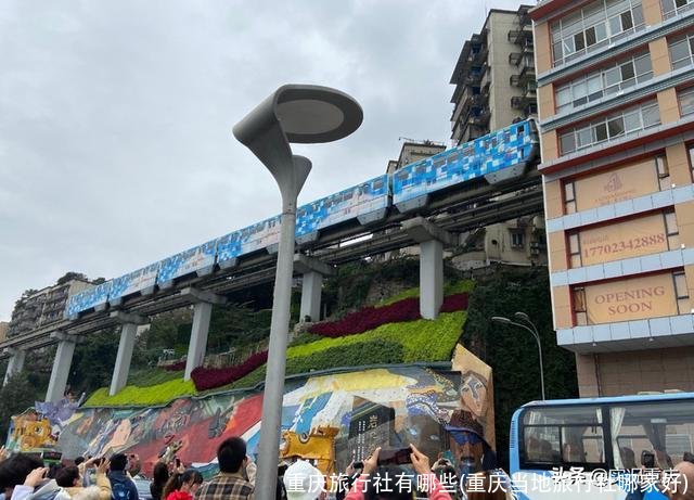 重庆旅行社有哪些(重庆当地旅行社哪家好)