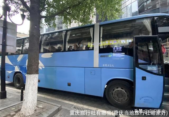 重庆旅行社有哪些(重庆当地旅行社哪家好)