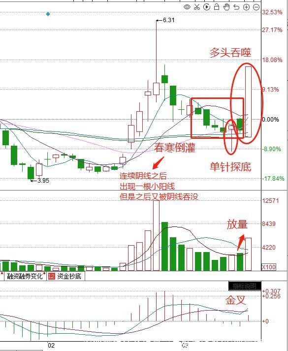 农业种植什么项目前景好挣钱多(农业种植项目)