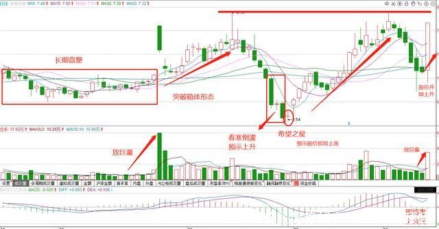 农业种植什么项目前景好挣钱多(农业种植项目)