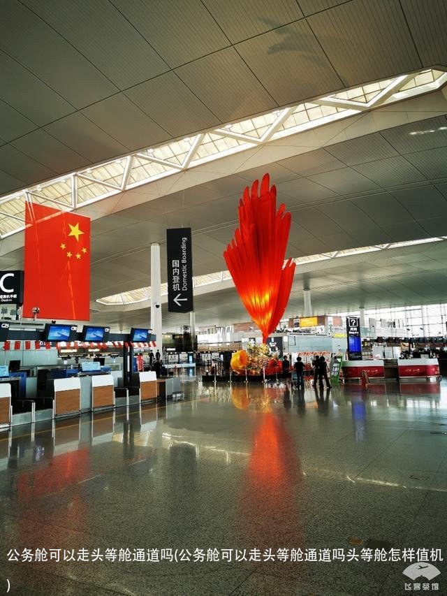 公务舱可以走头等舱通道吗(公务舱可以走头等舱通道吗头等舱怎样值机)