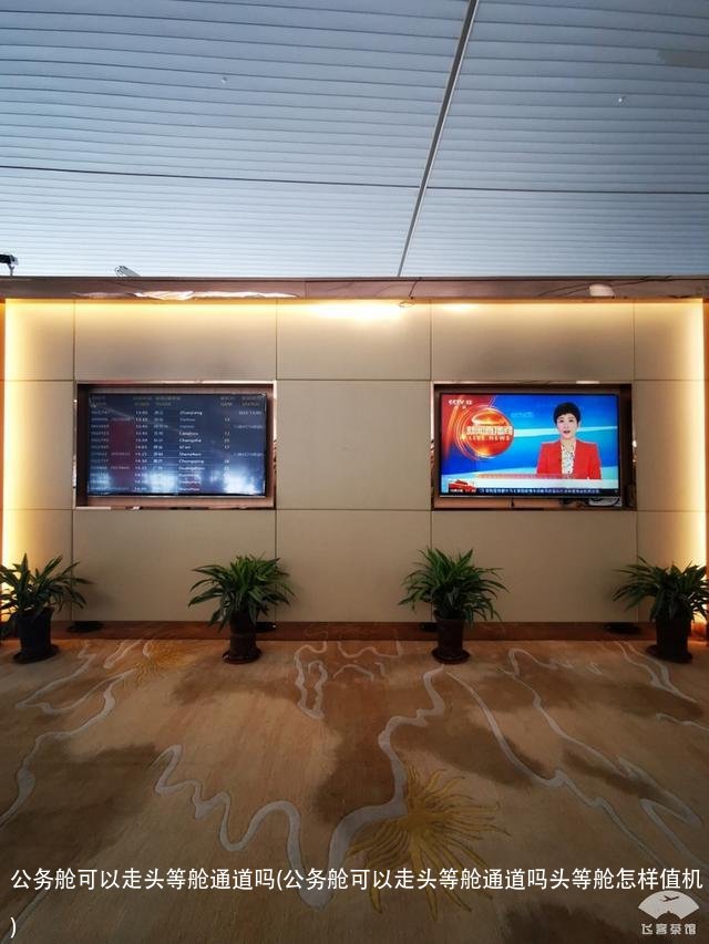 公务舱可以走头等舱通道吗(公务舱可以走头等舱通道吗头等舱怎样值机)