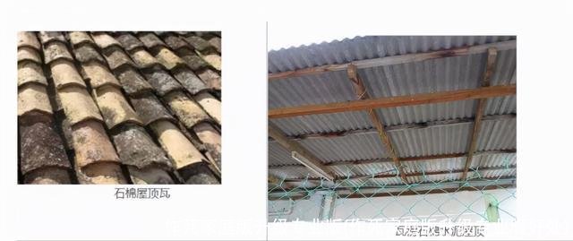 作死家庭版升级专业版(作死家庭版升级专业版好处)