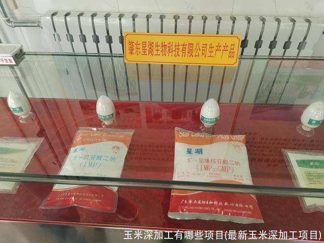 玉米深加工有哪些项目(最新玉米深加工项目)