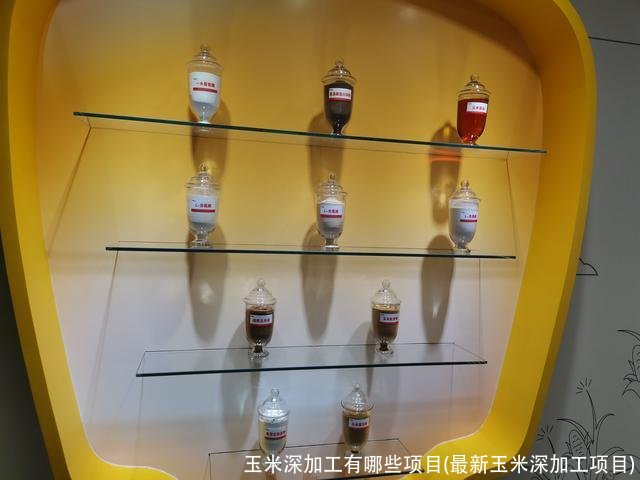 玉米深加工有哪些项目(最新玉米深加工项目)