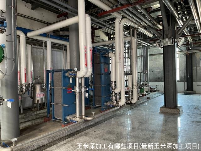 玉米深加工有哪些项目(最新玉米深加工项目)