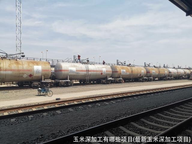 玉米深加工有哪些项目(最新玉米深加工项目)