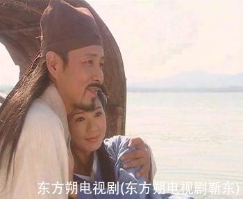 东方朔电视剧(东方朔电视剧靳东)