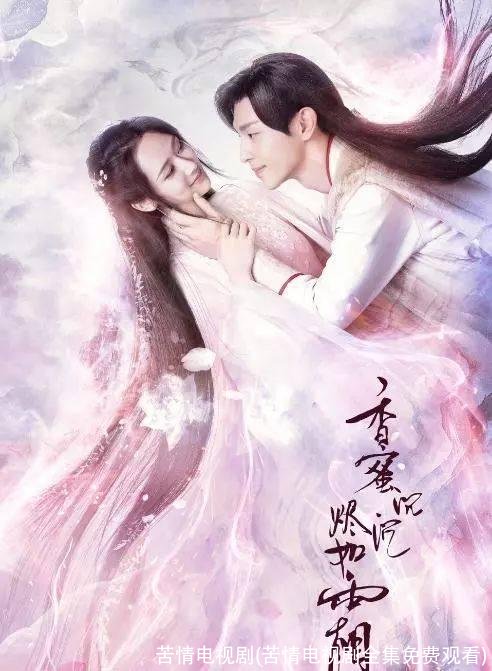 苦情电视剧(苦情电视剧全集免费观看)