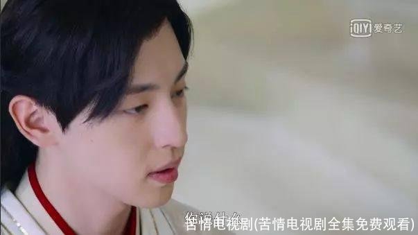 苦情电视剧(苦情电视剧全集免费观看)