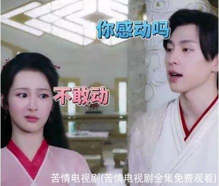 苦情电视剧(苦情电视剧全集免费观看)