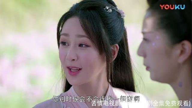 苦情电视剧(苦情电视剧全集免费观看)