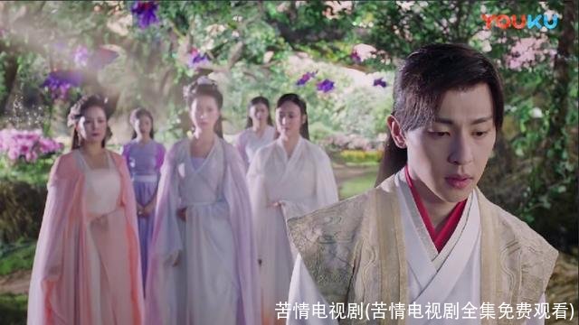 苦情电视剧(苦情电视剧全集免费观看)